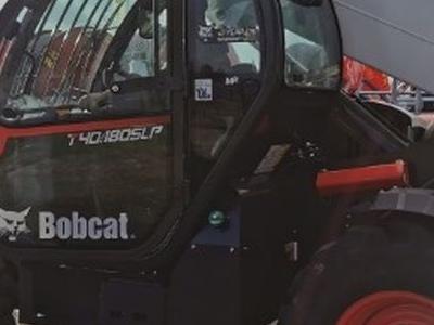 Bobcat 1