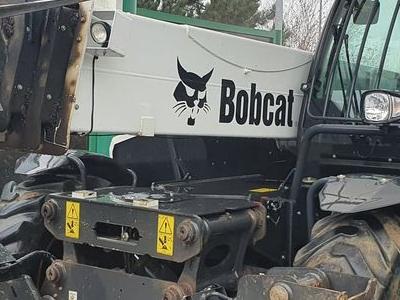 Bobcat 3