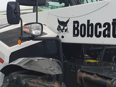 Bobcat 5